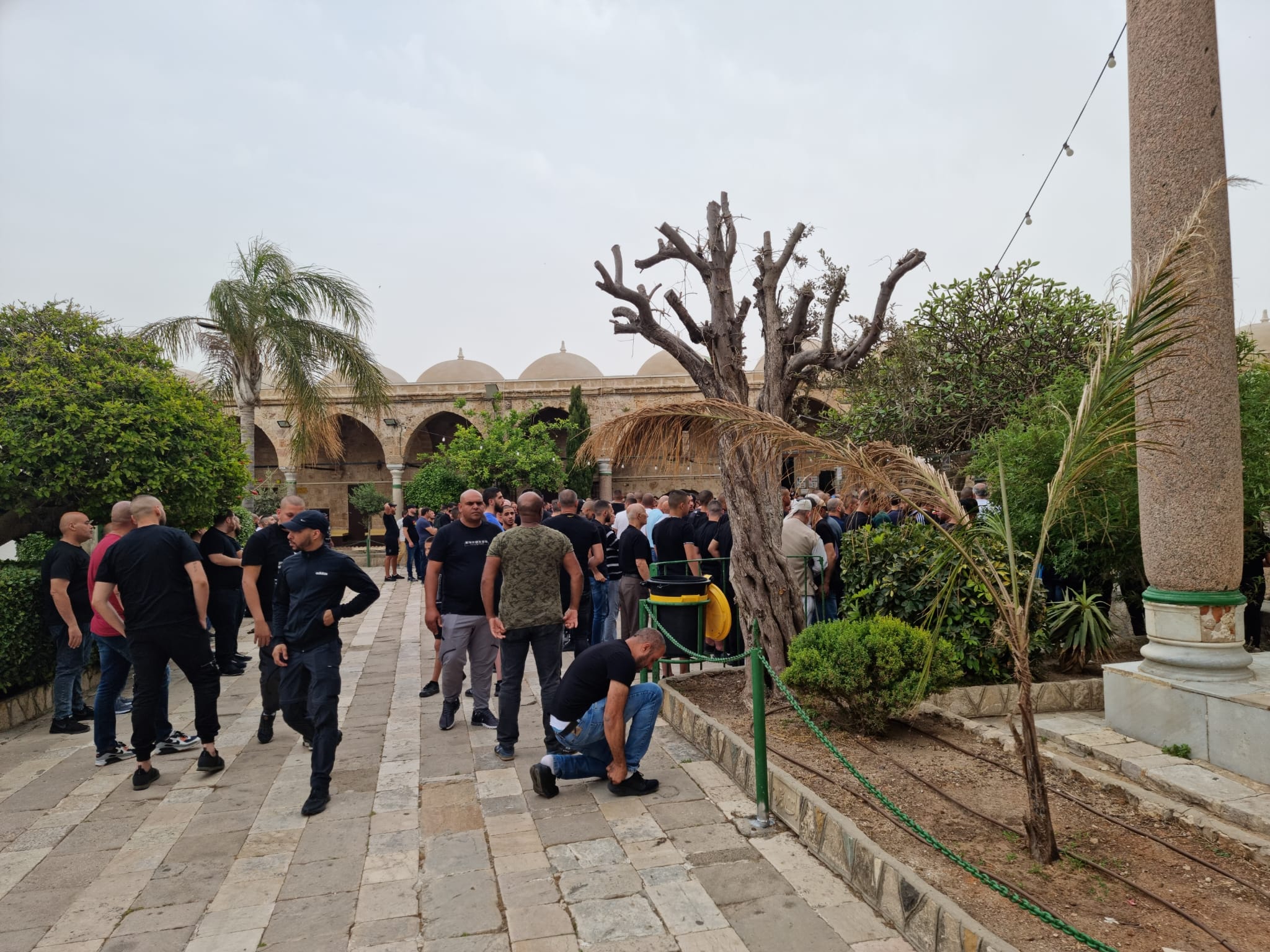 WhatsApp Image 2022-05-14 at 7.45.15 PM.jpeg